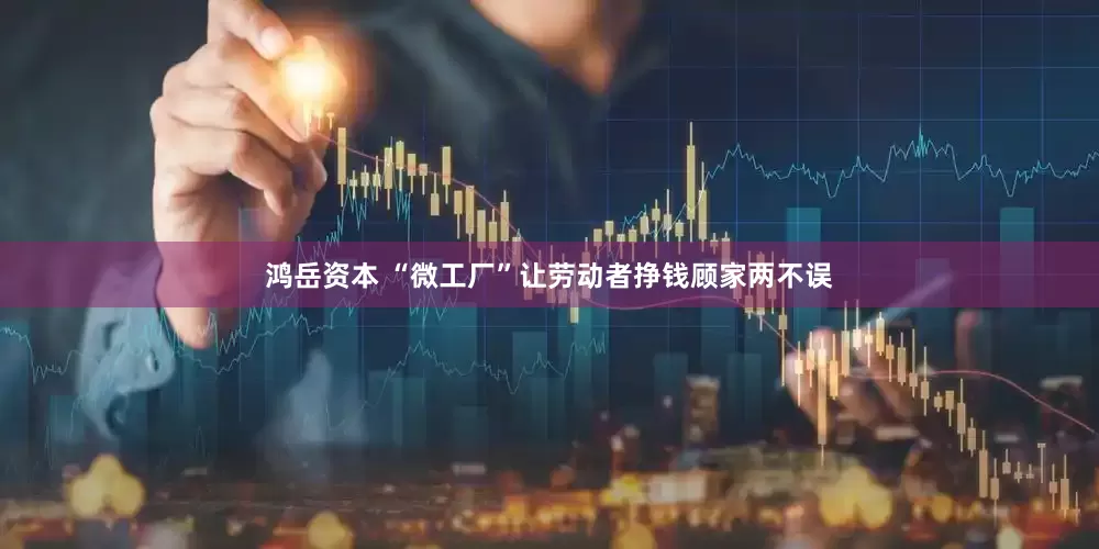 鸿岳资本 “微工厂”让劳动者挣钱顾家两不误
