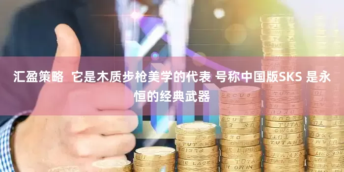 汇盈策略  它是木质步枪美学的代表 号称中国版SKS 是永恒的经典武器