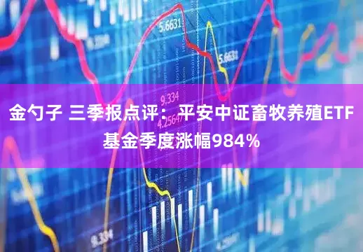 金勺子 三季报点评：平安中证畜牧养殖ETF基金季度涨幅984%