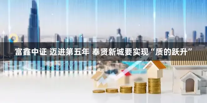 富鑫中证 迈进第五年 奉贤新城要实现“质的跃升”